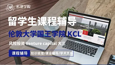 风险投资Venture capital大三