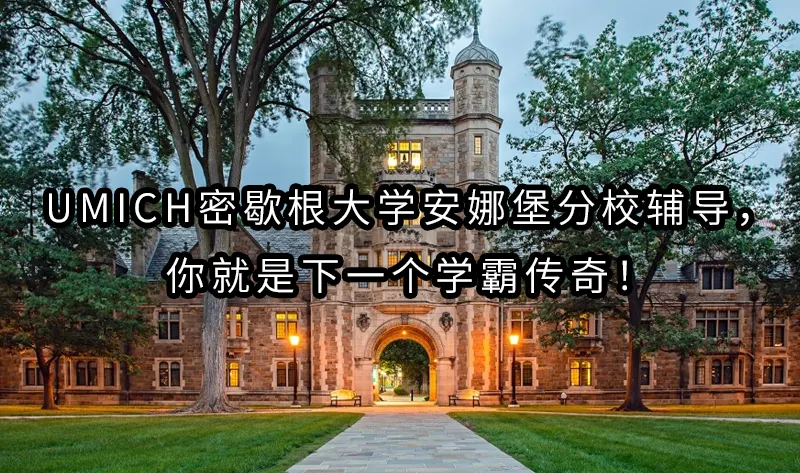 UMich密歇根大学安娜堡分校辅导，你就是下一个学霸传奇！