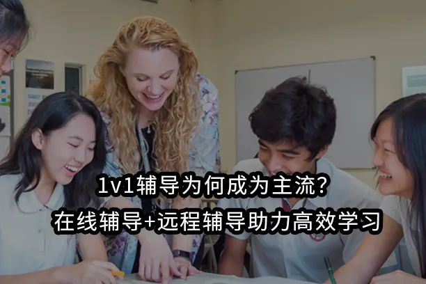1v1辅导为何成为主流？在线辅导+远程辅导助力高效学习