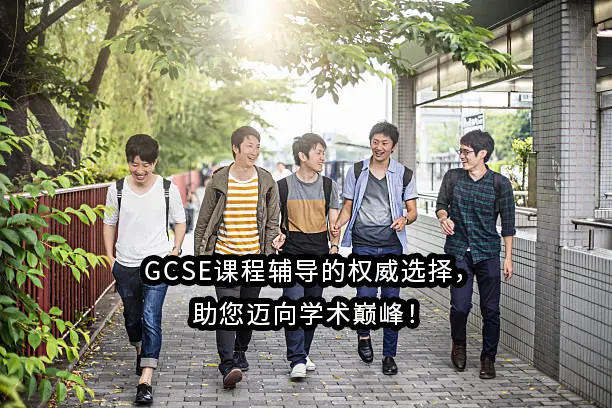 GCSE课程辅导的权威选择，助您迈向学术巅峰！