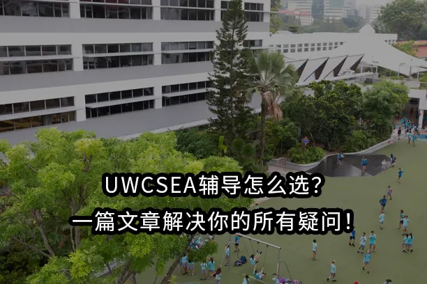 UWCSEA辅导怎么选？一篇文章解决你的所有疑问！