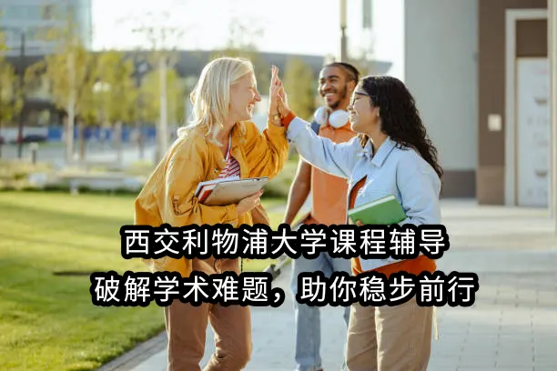 西交利物浦大学课程辅导：破解学术难题，助你稳步前行