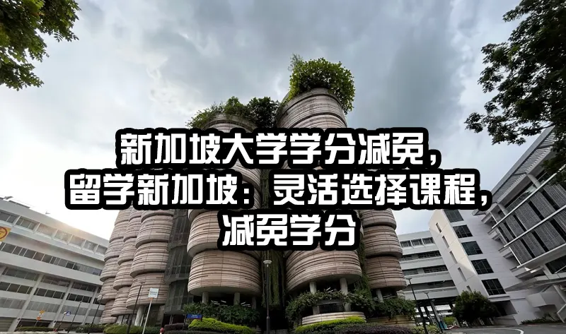 新加坡大学学分减免，留学新加坡：灵活选择课程，减免学分