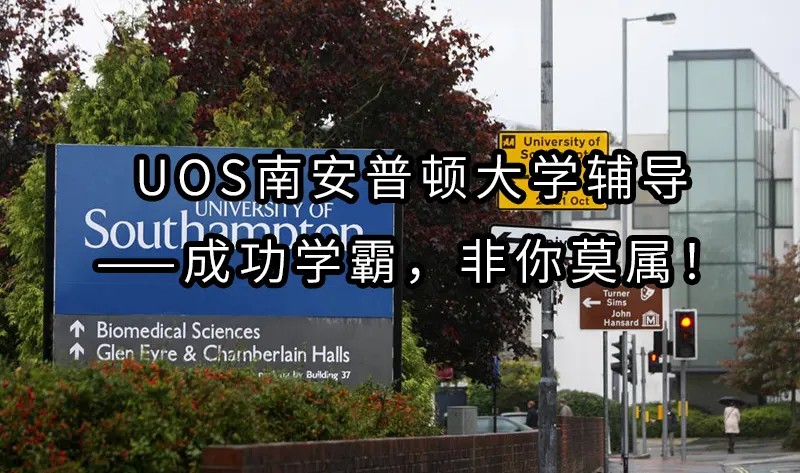 UoS南安普顿大学辅导，助你轻松应对学术挑战——成功学霸，非你莫属！