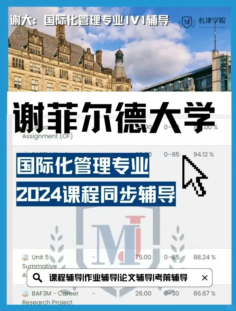 谢菲尔德大学国际化管理International Management专业辅导！