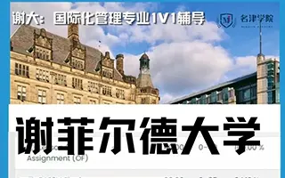 谢菲尔德大学国际化管理International Management专业辅导！